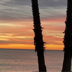 Hand Crafted In Southern California